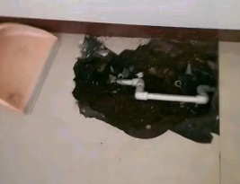东营市卫生间测漏水多少钱